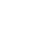 Big Bark Dog Daycare