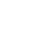 Big Bark Dog Daycare