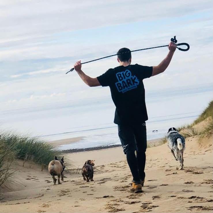 Big Bark dog walker leading three dogs on a beach walk, arms raised with a lead